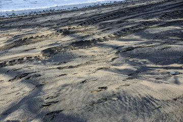 Spuren am Strand
