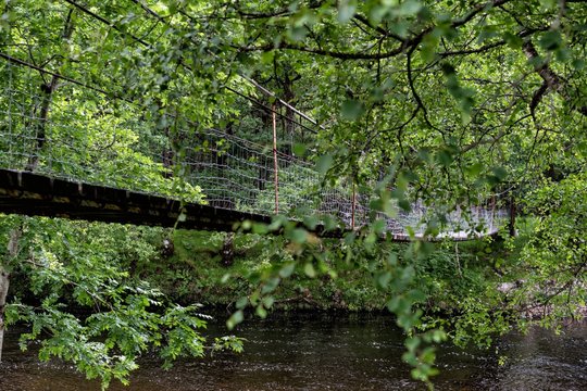 H&auml;ngebr&uuml;cke geht &uuml;ber Bach B&auml;ume stehen darum Schottland