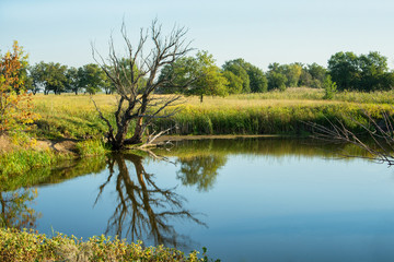 Fototapeta premium Beautiful autumn morning by the Lake. nature walk. Autumn landscape.