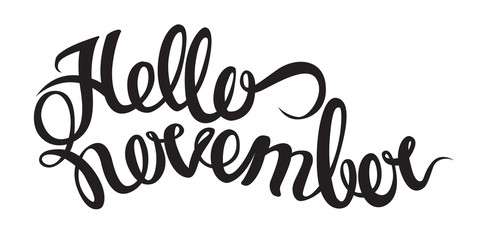 Fototapeta na wymiar Handwritten lettering of Hello November. Objects isolated on white background.
