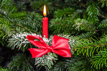 A candle on the fir branch
