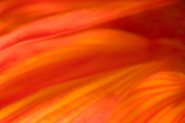 Abstract warm background of red, orange and yellow tones.