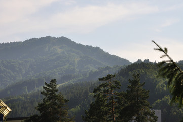 Beautiful view of the green Altai mountains, trees from high and clouds from the sky.