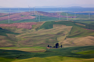 aerial view of a landscape