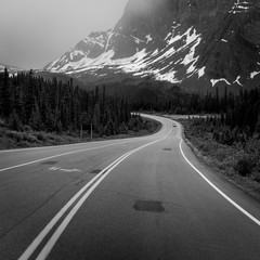 Winding Road Through Alberta's Icefields Parkway in Black and White