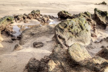 rocks on the beach