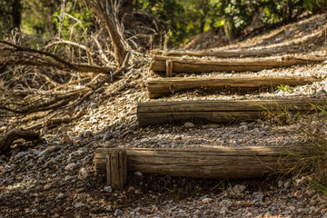 wooden stairs path way in park outdoor nature place for walking between trees in dry warm summer...