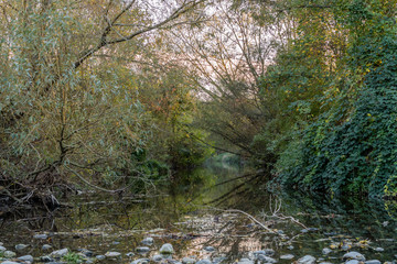 La rivière L'Aire dans le Genevois en automne