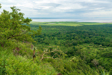 Fototapeta na wymiar View on Ngorongoro crater in Tanzania