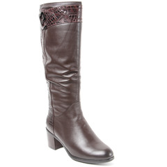 Women's demi-season high boots isolated on white background