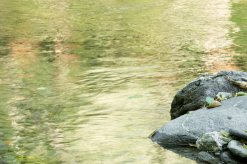 Abstractions of nature