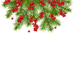 Naklejka na ściany i meble Christmas decoration with fir tree branches red berries, isolated on white background.