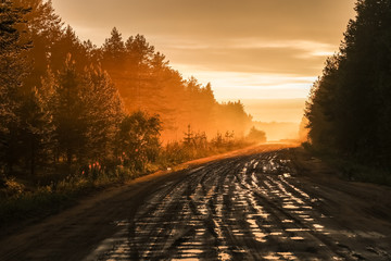 Gravel road in the Russian forest at sunset