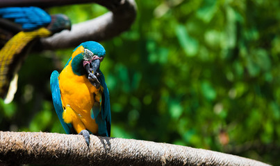 Nature at It's best