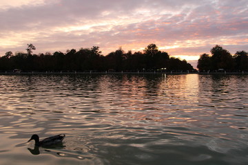 atardecer retiro