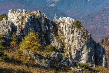 A Mountain Rock Lit by Morning Sun in Mid-Autumn