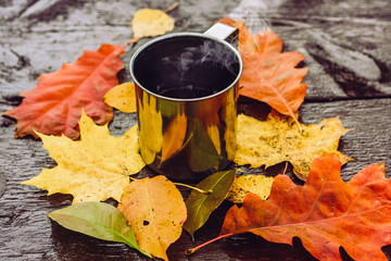 Cup of hot drink in the beautiful autumn forest
