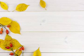 yellow autumn leaves and rose hips on a white wooden table