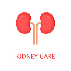 Healthy kidneys in flat style. Left and right kidney. Human internal organ. Anatomy concept. World kidney day. Cute cartoon vector illustration