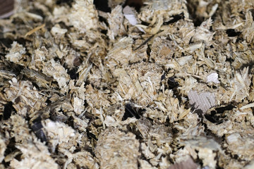 Background with the image of wood shredding