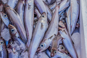 soft focus salt fish on outdoor south market background food concept