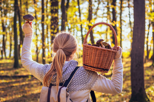 Happy Young Woman With Mushrooms In Wicker Basket Is Walking In Autumn Forest