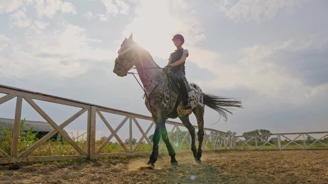 Young girl jockey on a horse outdoors, slow motion