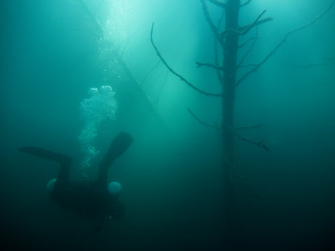 Person scuba diving undersea