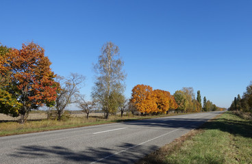Fototapeta na wymiar Road on a sunny autumn day.