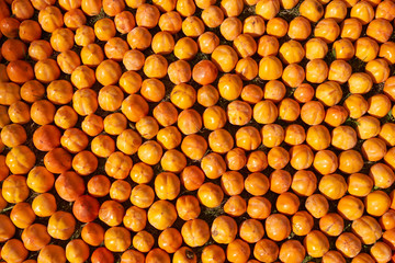 Fototapeta premium Fresh juicy persimmons fruit background, close-up. Agriculture and harvesting concept 