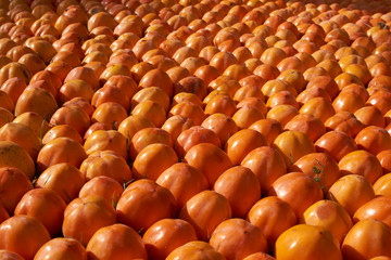 Fresh juicy persimmons fruit background, close-up. Agriculture and harvesting concept 
