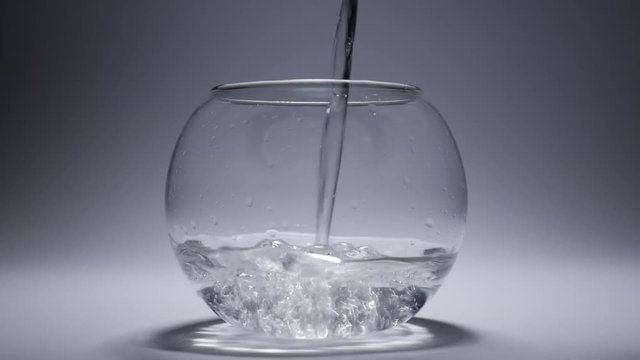 In an empty aquarium - a bowl is poured water. White background.