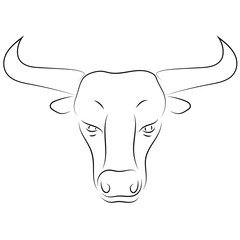 Black line bull head on white background. Hand drawing vector. Sketch style graphic animal.