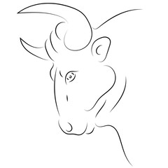 Black line bull head on white background. Hand drawing vector. Sketch style graphic animal.