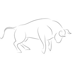Black line attacking bull on white background. Hand drawing vector. Sketch style graphic animal.