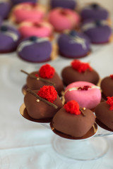 Wedding candy bar service. Delicious macaroons, cookies, pieces of cake and other sweets with chocolate, berries and cream served on the dinner table