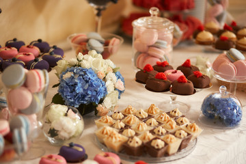 Wedding candy bar service. Delicious macaroons, cookies, pieces of cake and other sweets with chocolate, berries and cream served on the dinner table