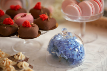Wedding candy bar service. Delicious macaroons, cookies, pieces of cake and other sweets with chocolate, berries and cream served on the dinner table