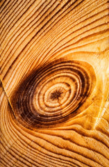 cut with tree rings detail