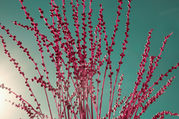 Beautiful floral berries palm abstract background of nature.

