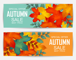 Autumn Sale Background Banner Card design Illustration  with colorful Falling maple leafs , Vector