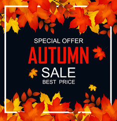 Autumn Sale Background Banner Card design Illustration  with colorful Falling maple leafs , Vector