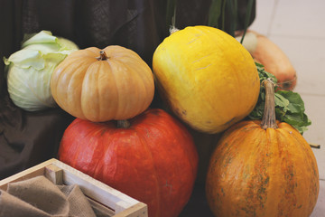Harvest. Big pumpkins