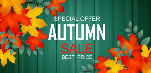 Autumn Sale Background Banner Card design Illustration  with colorful Falling maple leafs on wood texture , Vector