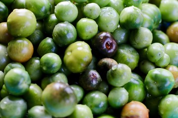 Tomates verdes