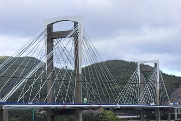 Ponte