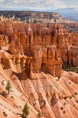 landscape on the bryce canyon in the united states of america