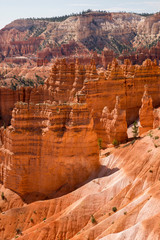 landscape on the bryce canyon in the united states of america