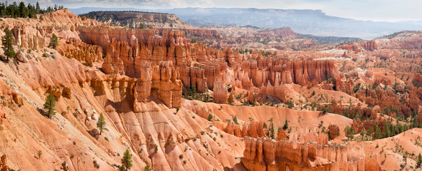 landscape on the bryce canyon in the united states of america