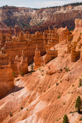 landscape on the bryce canyon in the united states of america